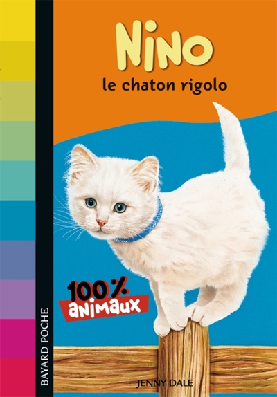 100 % animaux. Nino, le chaton rigolo