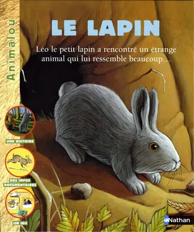 Le lapin