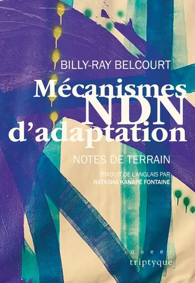 Mécanismes NDN d'adaptation : Notes de terrain