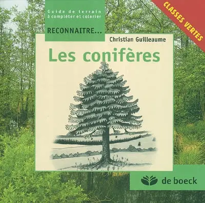 Les conifères : classes vertes