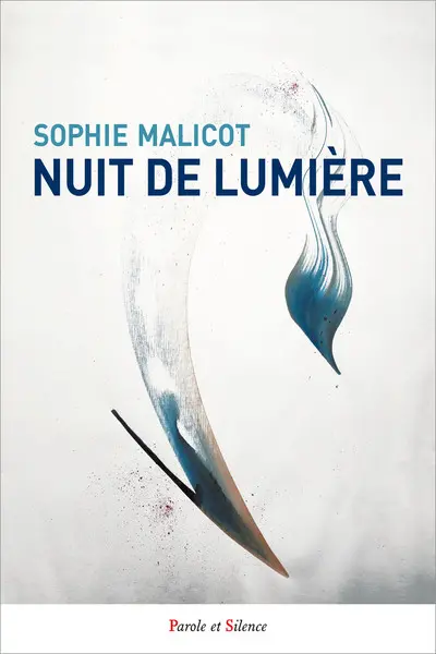Nuit de lumière