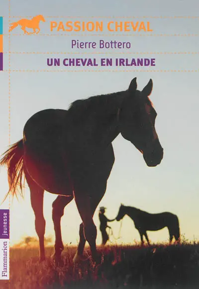 Un cheval en Irlande