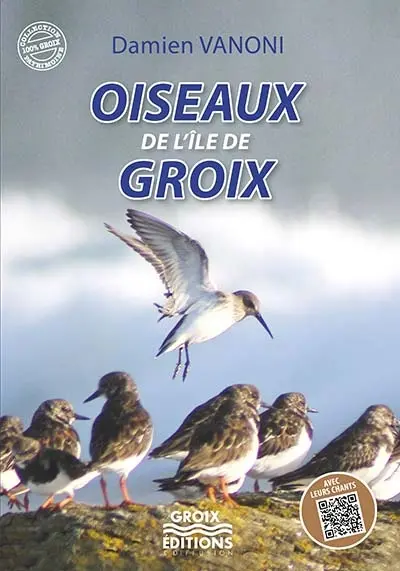 Oiseaux de l'île de Groix
