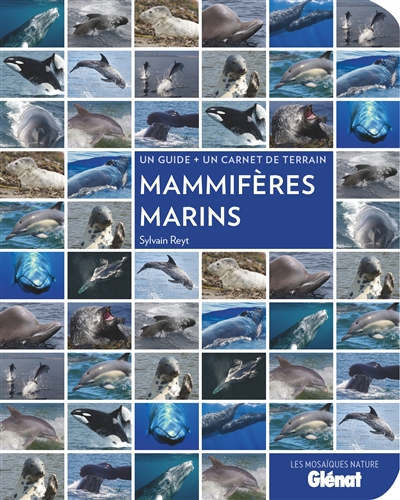 Mammifères marins : un guide + un carnet de terrain