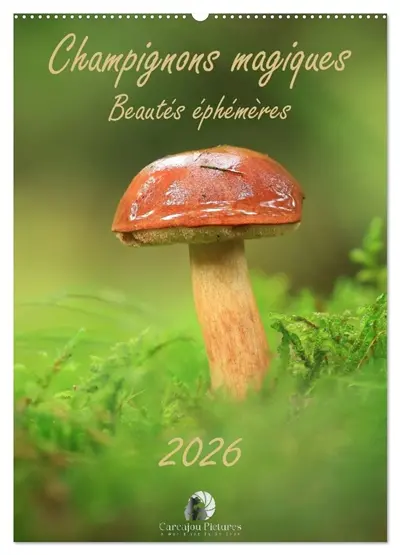 Champignons magiques : Beautés éphémères (Calendrier mural 2026 DIN A2 horizontal), CALVENDO calendrier mensuel : Un calendrier enchanteur qui révèle, mois après mois, la beauté mystérieuse et éphémère des champignons dans toute leur diversité.