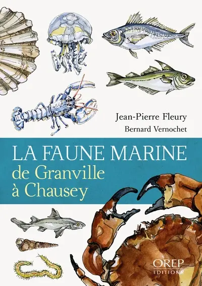La faune marine de Granville à Chausey