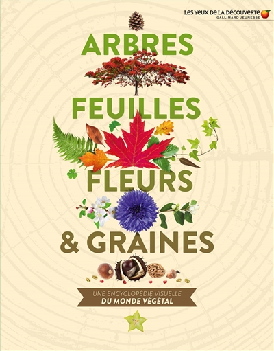 Arbres, feuilles, fleurs & graines : une encyclopédie visuelle du monde végétal - Sarah Jose