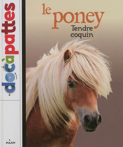 Le poney : tendre coquin