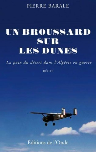 Un broussard sur les dunes...