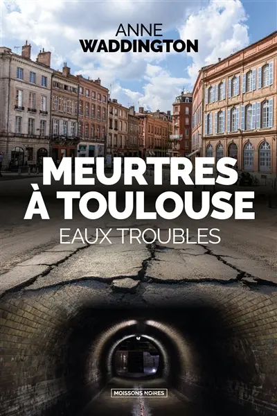 Meurtres à Toulouse : eaux troubles : thriller
