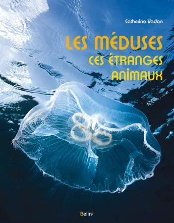 Les méduses, ces étranges animaux