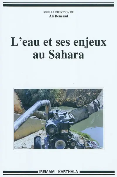 L'eau et ses enjeux au Sahara