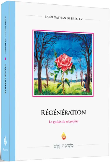 Régénération : le guide du réconfort