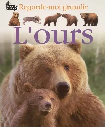 L'ours