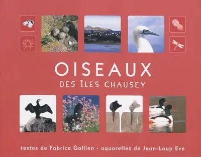 Oiseaux des îles Chausey
