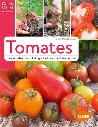 Tomates : les variétés qui ont du goût et comment les cultiver