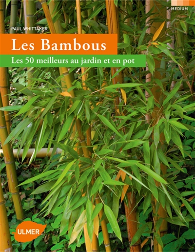 Bambous : les 50 meilleurs au jardin et en pot