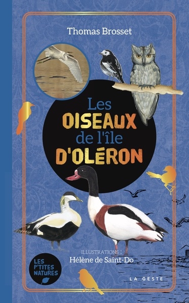 Les oiseaux de l'île d'Oléron