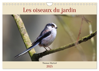 Les oiseaux du jardin...