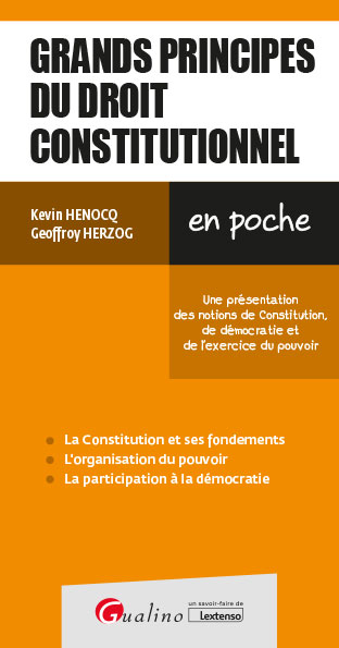 Grands principes de droit constitutionnel : une présentation des notions de Constitution, de démocratie et de l'exercice du pouvoir