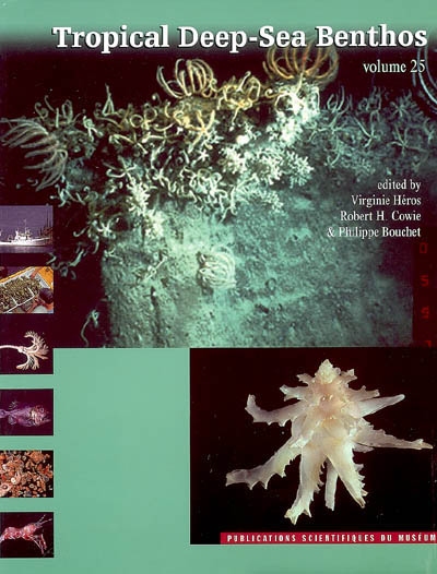 Tropical deep-sea benthos. Vol. 25