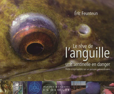 Le rêve de l'anguille : une sentinelle en danger : petite encyclopédie sur un poisson extraordinaire