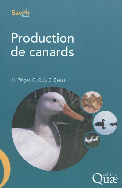production de canards