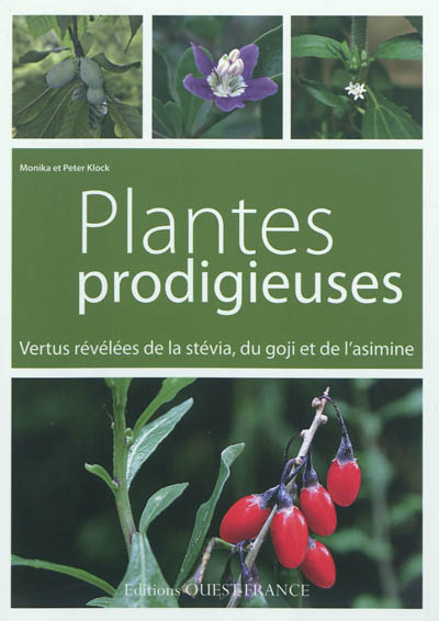 Plantes prodigieuses : vertus révélées de la stévia, du goji et de l'asimine