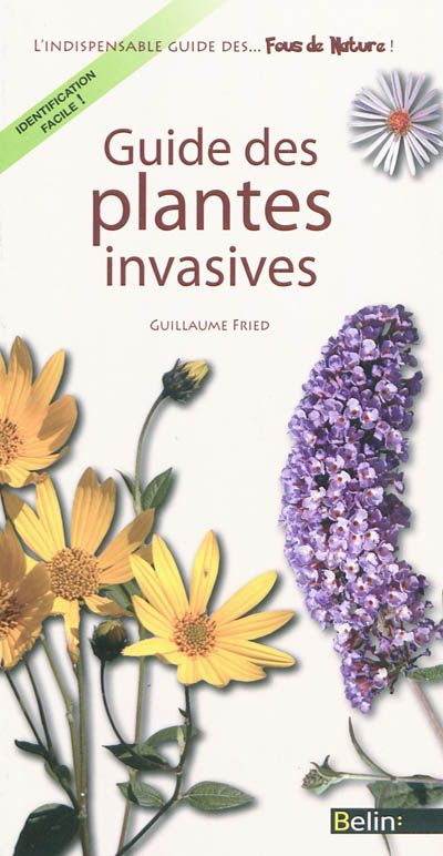 Guide des plantes invasives : reconnaître ces plantes qui nous envahissent !