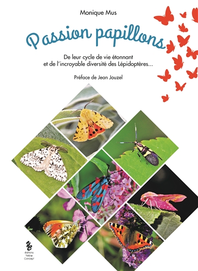 Passion papillons : de leur cycle de vie étonnant et l'incroyable diversité des lépidoptères...