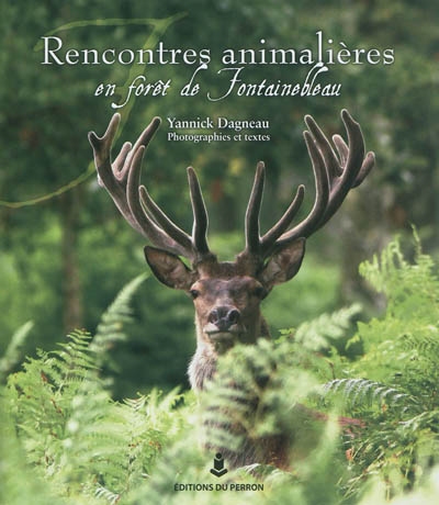 Rencontres animalières en forêt de Fontainebleau