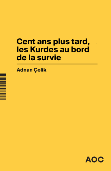 Dans la Turquie d'Erdogan, l'arme judiciaire au service du négationnisme d'Etat ?. Cent ans plus tard, les Kurdes au bord de la survie