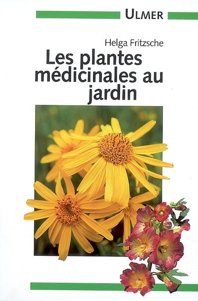 Les plantes médicinales au jardin