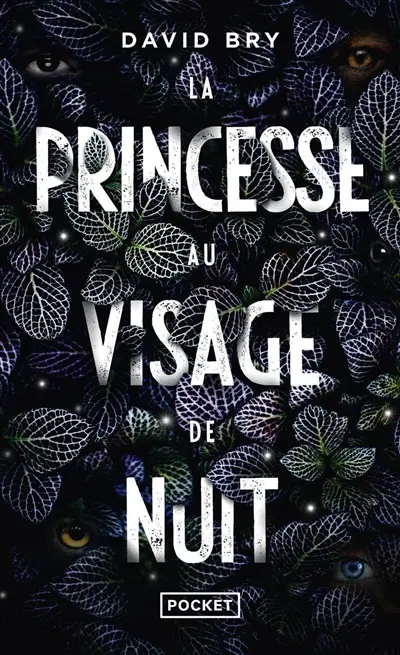 La princesse au visage de nuit