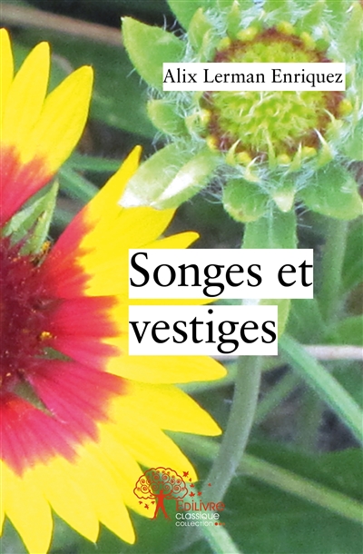Songes et vestiges