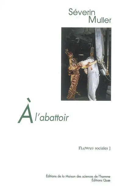 A l'abattoir : travail et relations professionnelles face au risque sanitaire