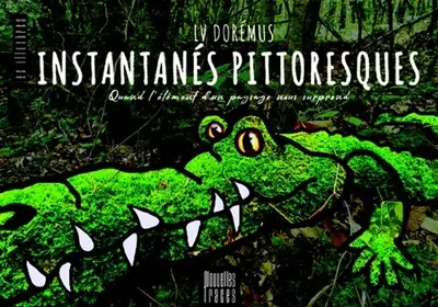 Instantanés pittoresques : quand l'élément d'un paysage nous surprend