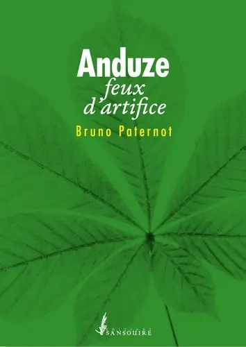 Anduze : feux d'artifice