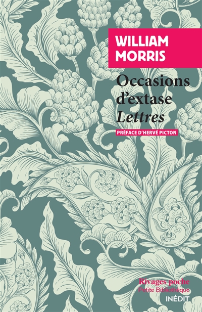 Occasions d'extase : lettres