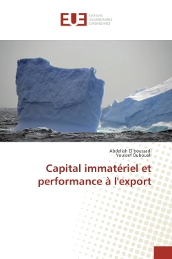Capital immatériel et...