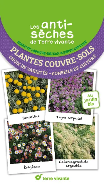 Plantes couvre-sols : choix de variétés, conseils de culture