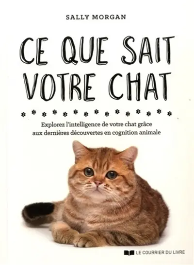 Ce que sait votre chat : explorez l'intelligence de votre chat grâce aux dernières découvertes en cognition animale