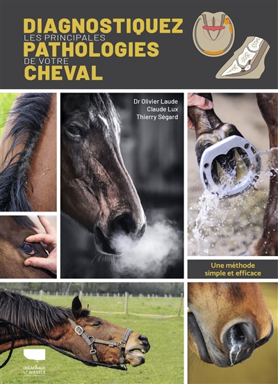 Diagnostiquez les principales pathologies de votre cheval : une méthode simple et efficace