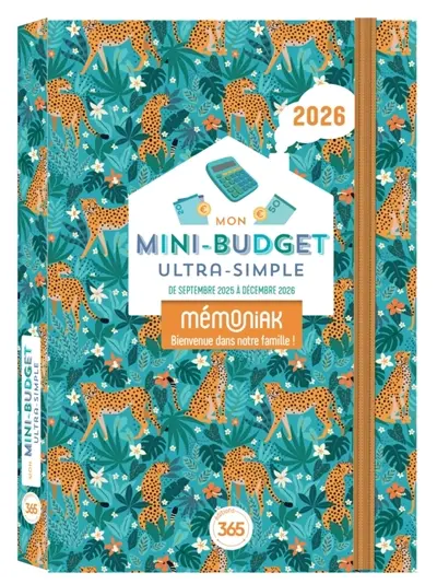 Mon mini-budget ultra-simple 2026 : de septembre 2025 à décembre 2026