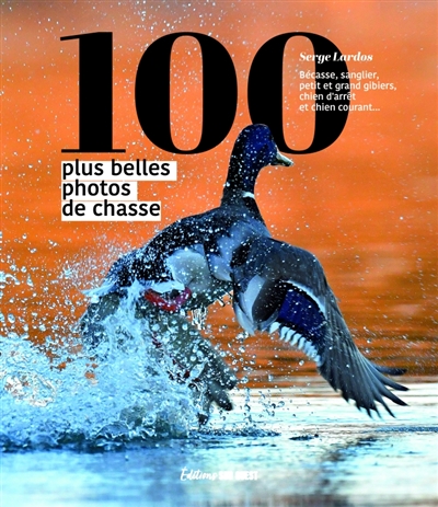 100 plus belles photos de...