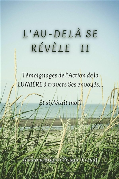 L'AU-DELA SE REVELE II...