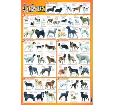 Les chiens