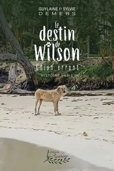 Le destin de Wilson : Chien errant