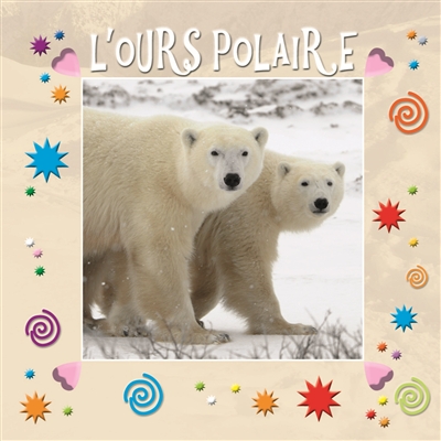 L'ours polaire