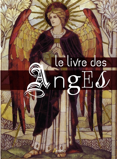 le livre des anges